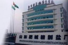 肥城哪个企业比较好，肥城大型企业有哪些？