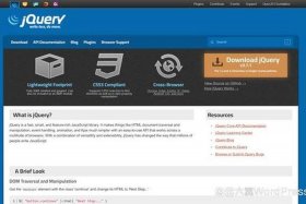 wordpress首页不显示内容 用wordpress 建网站