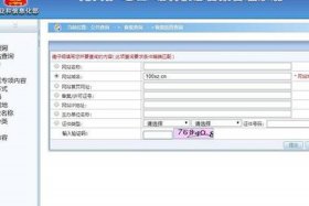 seo查询域名（域名查询推荐）