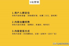 SEO网站运营 SEO运营主管