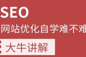 seo大牛是什么意思、seo大神分享
