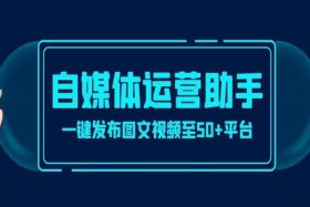 seo短视频运营；短视频seo营销