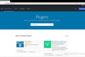 wordpress成品网站免费、wordpress入口
