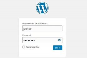 wordpress登录界面设置 怎么设置网页允许弹出