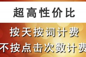 seo服务推广公司 - seo服务推广公司排名