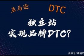 独立站公司的利弊、独立站做什么产品