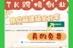 独立站建站，独立站建站从速卖通发货哪个好