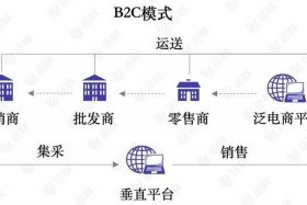 b2c 实例是什么；b2c案例举例说明