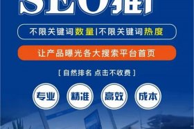 seo网站推广免费吗 怎么免费推广自己网站