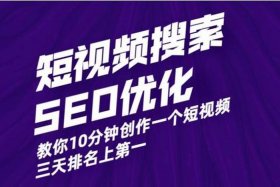 seo短视频网页入口引流免费（短视频seo什么意思）