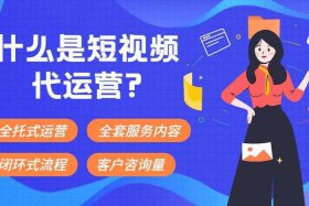 seo短视频网页入口网站，成品影视app开发