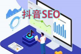 seo短视频网页免费入口；seo短视频网页入口网站推广免费