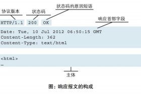 http是什么意思、女生说么么是代表意思
