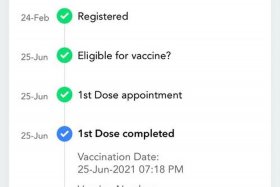 seo观察（seo观察电子书）