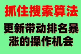 seo查询怎么操作排名 seo排名技术教程