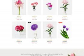 html网页模板网站 - html5模板网