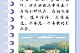 《鸣蝉》，鸣蝉小说110版最火的一句