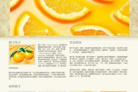 html简单网页制作成品和代码 - web简单网页设计作业