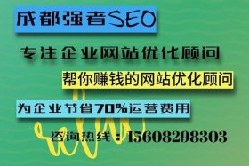 seo顾问是什么 企业seo顾问