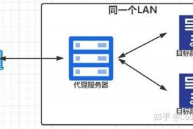 wordpress教程菜鸟教程、wordpress用nginx还是apache