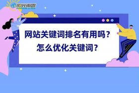 seo网站建设 百度推广优化排名