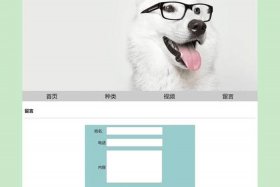 html网页如何制作；网页设计鼠标经过文字变色