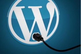 seo短视频网页入口、wordpress成品网站