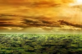 wordpress首页背景图片 - 背景图片大全