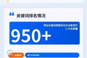 seo1在哪里可以免费看 seo1新地址在哪里