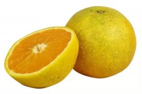 橙子建站客服电话；橙子建站电话咨询