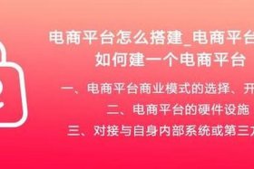 电商搭建平台（搭建一个电商平台需要多少钱）