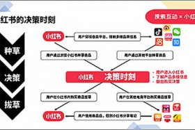 seo代运营套路，seo代做怎么收费
