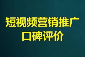 seo短视频网页入口引流下载、短视频seo营销