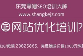 seo成都培训；成都哪里有seo公司