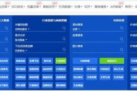 seo查询站长工具，站长工具seo综合查询是什么