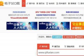 seo免费版软件排名 - 站长工具seo综合查询