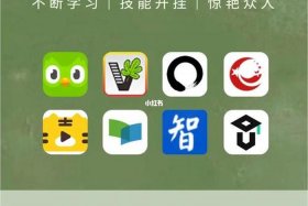 oeasy免费自学网站官网是多少、免费自学网站有哪些