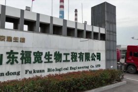 肥城企业名录（肥城企业排名）