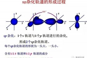 seo32-的杂化类型，seo32-杂化方式
