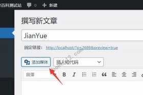 wordpress 文章页；wordpress入口