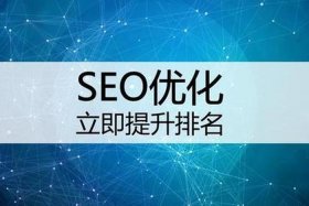 SEO关键词进行优化，seo关键词优化软件