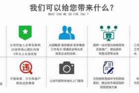 seo网站优化设计策划书、网站的seo方案