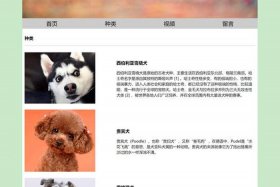 web免费网站设计图片怎么做 网页设计图片被打乱