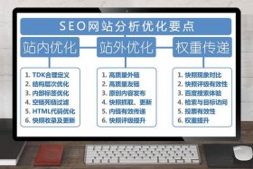 seo的故事简介、seo案例模板