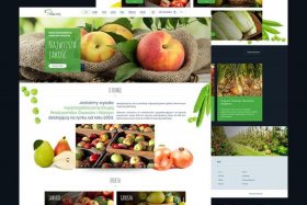 web网页制作素材、web制作网站的模板