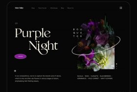 web免费网站设计图片 - web动态网页设计