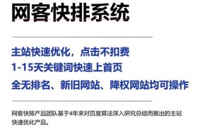 seo短视频网页入口引流 seo网站