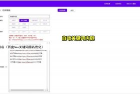 seo 网站排名；快速排名生客seo