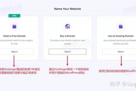 wordpress开发手册；wordpress网站建设