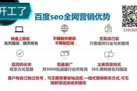 seo网络推广首页排名 - seo网站排名查询